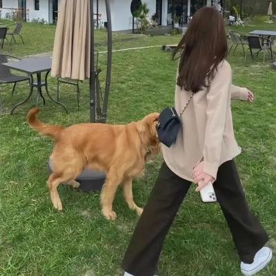 命中注定搭错线